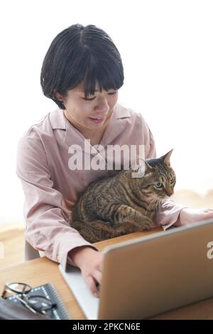 Donna che tocca il computer e il gatto in giro Foto Stock