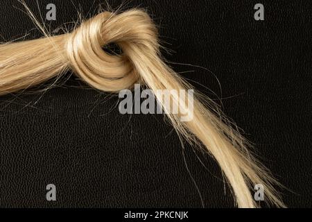 lavorato in un nodo di capelli biondi femmina su un nero Foto Stock