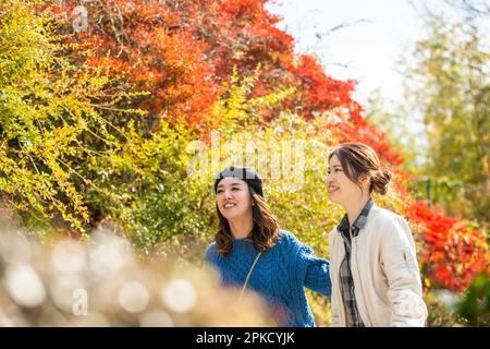 Due donne passeggiando in un luogo turistico mentre osservano le foglie autunnali Foto Stock