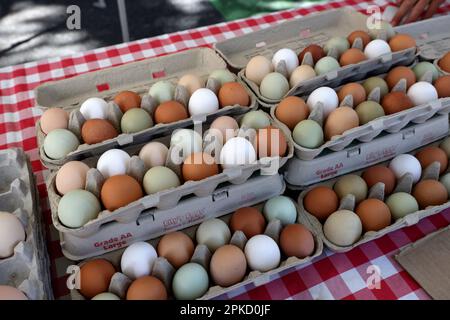 Viste generali del Santa Monica Downtown Farmers Market, Arizona Ave e 2nd St, Santa Monica Farmers Market, California, USA. Foto Stock