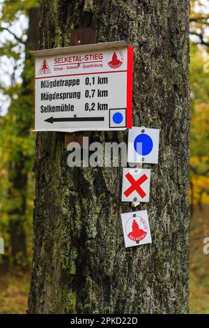 Impressioni autunnali dal Selketal sui Monti Harz Foto Stock