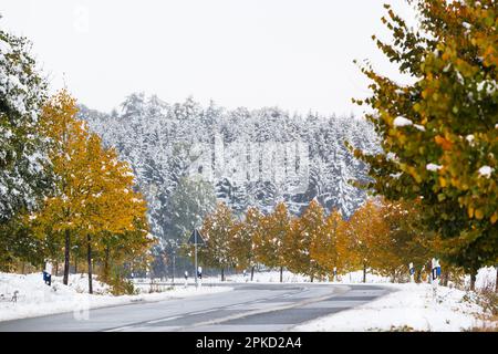 Strade innevate in autunno Foto Stock