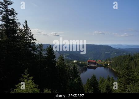 Hornisgrinde, Germania - 11 agosto 2021: Vista del lago (Mummelsee), da un punto di vista per i turisti nella foresta nera nord. L'acqua è circondata da Foto Stock