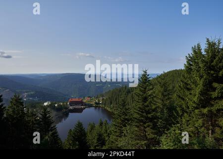 Hornisgrinde, Germania - 11 agosto 2021: Vista del lago (Mummelsee), da un punto di vista per i turisti nella foresta nera nord. L'acqua è circondata da Foto Stock