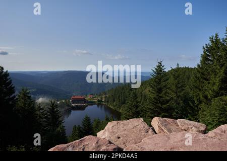 Hornisgrinde, Germania - 11 agosto 2021: Vista del lago (Mummelsee), da un punto di vista per i turisti nella foresta nera nord. L'acqua è circondata da Foto Stock