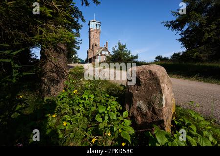 Hornisgrinde, Germania - 11 agosto 2021: Torre (Hornisgrindeturm) sullo sfondo. Grande pietra vicino al sentiero escursionistico. Foresta Nera. Foto Stock