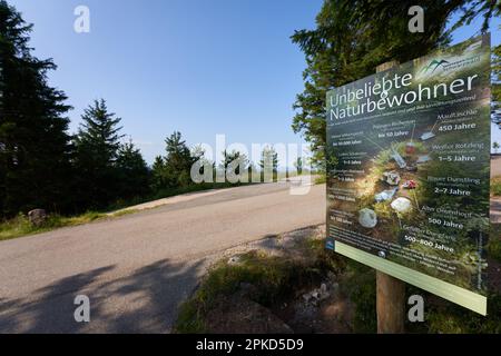 Hornisgrinde, Germania - 11 agosto 2021: Firma con divertenti parole tedesche e significato latino. I visitatori della foresta nera del nord dovrebbero mantenere la natura c Foto Stock