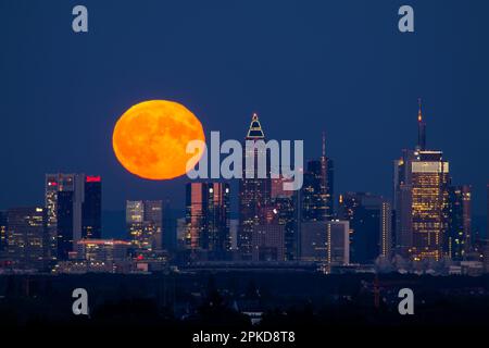Luna sopra lo skyline, Francoforte, Assia, Germania Foto Stock