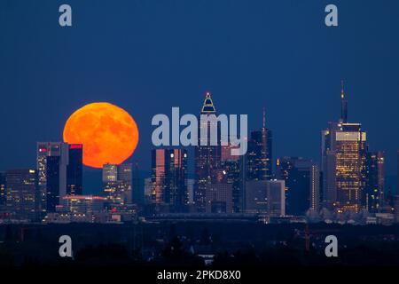 Luna sopra lo skyline, Francoforte, Assia, Germania Foto Stock