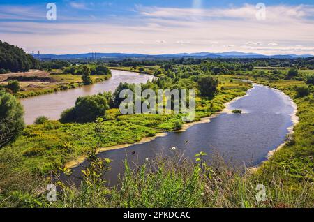 Bella estate verde paesaggio. Il fiume Vistola a Tyniec vicino Cracovia, Polonia. Foto Stock