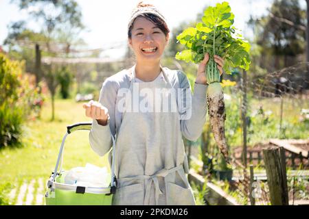 Una donna sorride con ravanelli raccolti nel campo Foto Stock