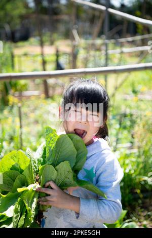 Ragazza che tiene la lattuga raccolta Foto Stock