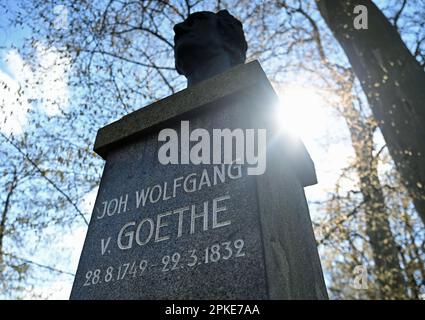 Brandeburgo e Der Havel, Germania. 06th Apr, 2023. Il sole splende su un busto di bronzo di Johann Wolfgang von Goethe. Il busto fu eretto a Brandeburgo e a der Havel nel 1953. Credit: Jonathan Penschek/dpa/Alamy Live News Foto Stock