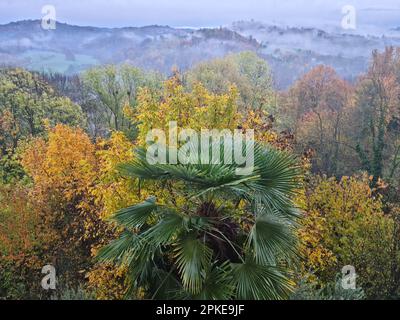 La verde campagna piemontese con colline, prati, raccolti, boschi e il silenzio della natura. Foto Stock