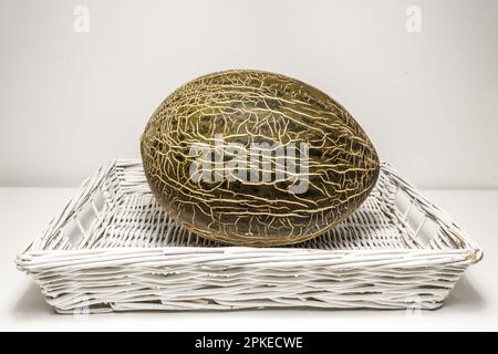 Un vassoio di vimini bianco con un grande melone piel de sapo Foto Stock