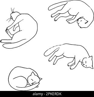 Illustrazione vettoriale delle pose del gatto addormentato su sfondo bianco Illustrazione Vettoriale