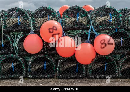 Primo piano delle trappole e delle boe dell'aragosta in Scozia, Regno Unito Foto Stock