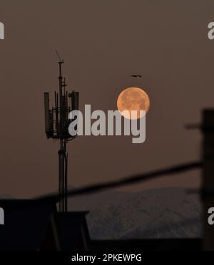 Srinagar, India. 07th Apr, 2023. La luna piena si trova sopra la catena montuosa dell'Himalaya coperta dalla neve, il Kashmir, il captiale estivo del Kashmir amministrato dagli indiani, il 7 aprile 2023. La luna piena di aprile è anche conosciuta come rosa, uovo e luna di pesce. (Foto di Mubashir Hassan/Pacific Press) Credit: Pacific Press Media Production Corp./Alamy Live News Foto Stock