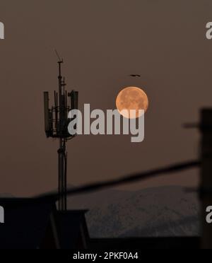 7 aprile 2023, Srinagar, Jammu e Kashmir, India: La luna piena si trova sopra la neve coperta gamma di montagne Himalayan, Kashmir, il Captial estivo di indiano amministrato Kashmir, il 7 aprile 2023. La luna piena di aprile è anche conosciuta come rosa, uovo e luna di pesce. (Credit Image: © MUbashir Hassan/Pacific Press via ZUMA Press Wire) SOLO PER USO EDITORIALE! Non per USO commerciale! Foto Stock