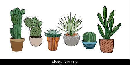Set di cactus di piante prickly deserto. Illustrazione Vettoriale