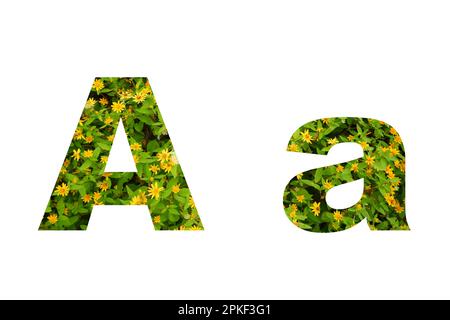 Fiore carattere Alphabet Un isolato su sfondo bianco fatto di veri fiori gialli vivi Foto Stock