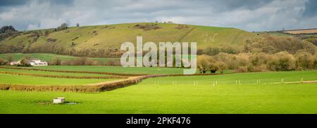 Panorama del Dorset rurale vicino al villaggio di Cerne Abbas, vista della famosa figura collinare conosciuta come il gigante di Cerne Abbas Foto Stock