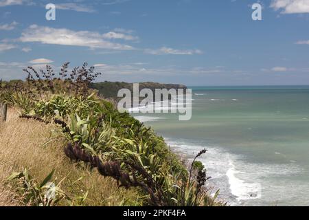 La vibrante vegetazione costeggia la riva di un oceano sereno, con la luce del sole che si riflette sulle dolci onde che si avvolgono Foto Stock