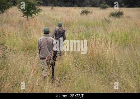 Rangers armati di armi nel parco di conservazione degli animali in Zimbabwe, in Rhino di Ispire e Wildlife Conservancy Foto Stock