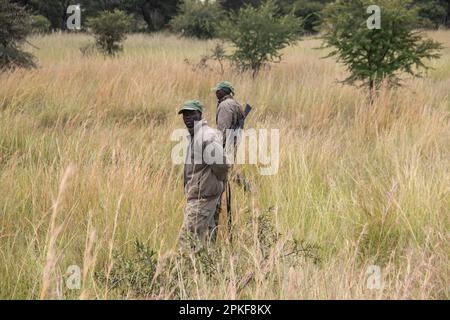 Rangers armati di armi nel parco di conservazione degli animali in Zimbabwe, in Rhino di Ispire e Wildlife Conservancy Foto Stock