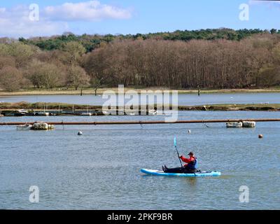 Melton, Woodbridge, Suffolk, Regno Unito - 7 aprile 2023 : pagaiata in salita sul fiume. Foto Stock