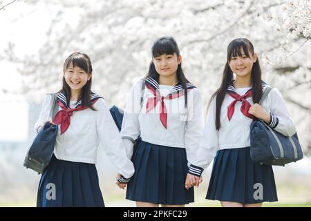 Studentessa che cammina lungo la fila di alberi di ciliegio Foto Stock