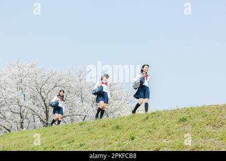 Scolaresche che camminano di fila Foto Stock