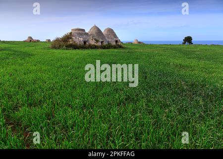 Trullo tipico della costa pugliese. Costa dei Trulli Ripagnola nei pressi di Polignano. Foto Stock