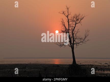 Tramonto a Kotka mare Beach.This foto è stato preso da Sundarbans National Park, Bangladesh. Foto Stock