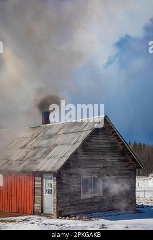 Baracca di zucchero allo sciroppo d'acero in una fattoria Amish nel Michigan centrale, Stati Uniti [Nessun rilascio di proprietà; solo licenza editoriale] Foto Stock