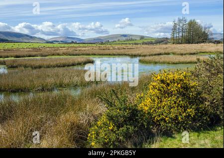 Vista sul grande Mynydd Illtyd Common fino alle montagne in lontananza, come si vede da Mynydd Illtyd Common nel Brecon Beacons National Park Foto Stock