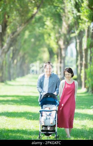 Famiglia che spinge un passeggino in una fila di alberi di pioppo Foto Stock