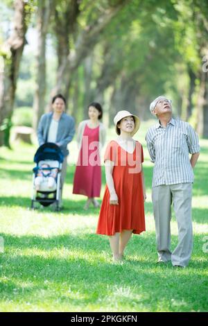 Una coppia anziana che guarda su una fila di alberi di pioppo Foto Stock