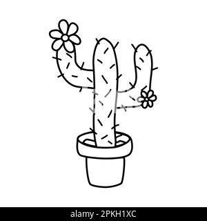 Saguaro o Carnegia cactus con fiori in vaso, disegno vettoriale a forma di doodle piatto Illustrazione Vettoriale