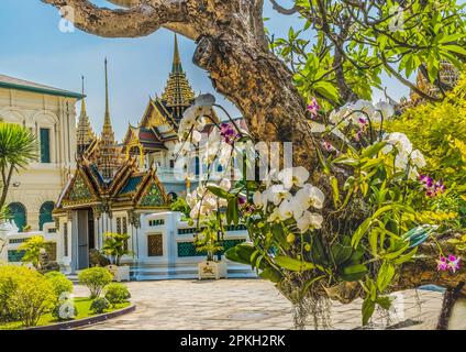 Colorate Orchidee Pagodas Stupas Prangs Grand Palace Bangkok Thailandia. Palazzo fu la casa del re della Thailandia dal 1782 al 1925 Foto Stock