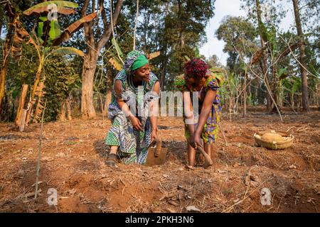 Due contadine femminili si fermano felicemente in Africa, nelle donne e nell'agricoltura Foto Stock