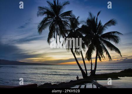 Alberi di palma e l'oceano si presentano con una persona irriconoscibile al tramonto a Maui. Foto Stock