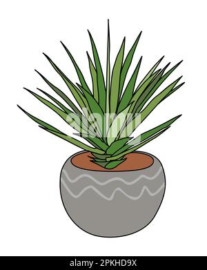 Succulente Casa pianta in vaso vettore decorativo. Illustrazione Vettoriale
