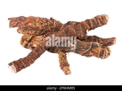 Radice di Calamus isolata su sfondo bianco. Bandiera dolce, zoppa o radice di muskrat, vasambu. Radice secca di Acorus calamus Foto Stock