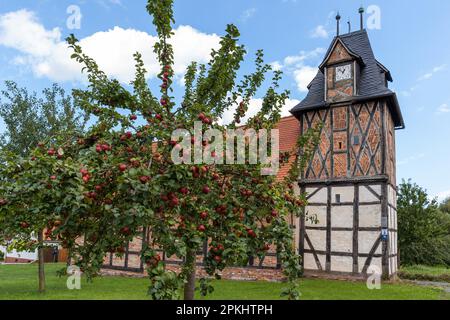 Villaggio Chiesa Wieserode nella Harz Montagne a graticcio Chiesa Foto Stock