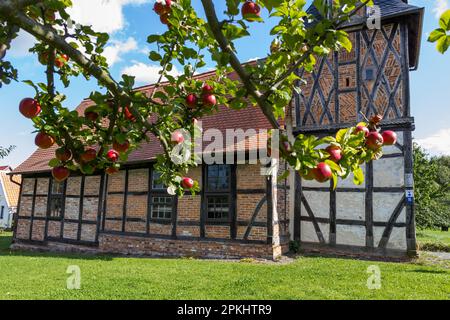 Villaggio Chiesa Wieserode nella Harz Montagne a graticcio Chiesa Foto Stock