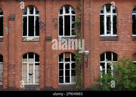 facciata in mattoni rossi con finestre rotte Foto Stock