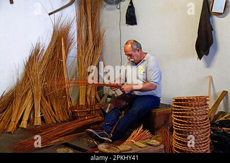 Cestista, Camacha, Isola di Madeira, Portogallo Foto Stock