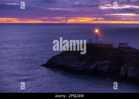 Faro, Sud Stack, Angelsey, Wales, Regno Unito Foto Stock