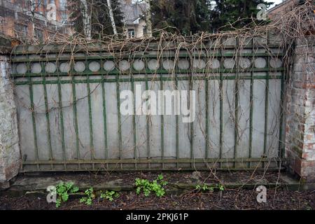 Una vecchia recinzione in metallo forgiato con cime, spille, anelli dell'epoca sovietica dipinti con vernice verde con ardesia grigia. Foto Stock